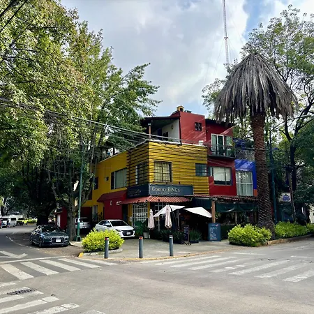 Casa Anzures S