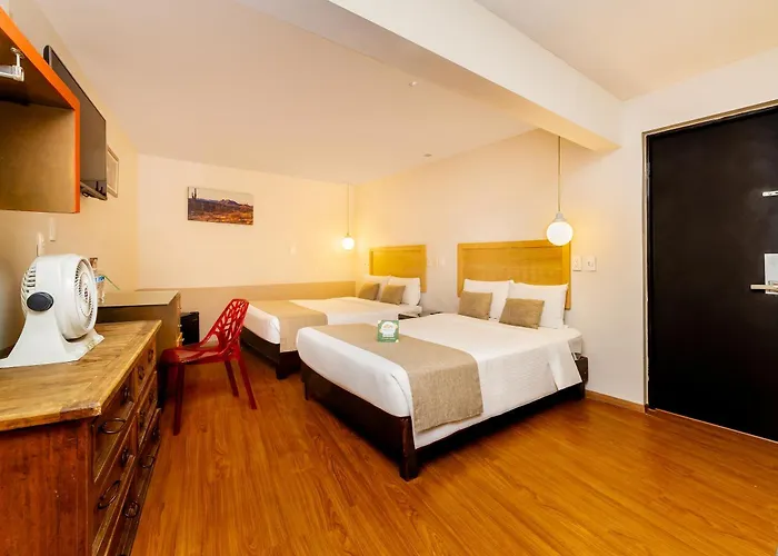 Collection O Casa Anzures Thematic, 3*