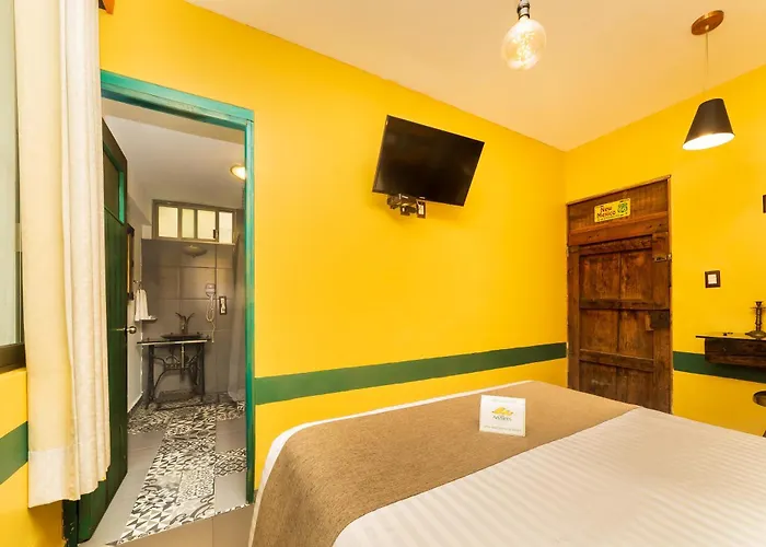 Collection O Casa Anzures Thematic, 3*