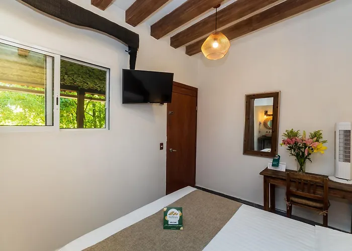 Hotel Collection O Casa Anzures Thematic, Mexico