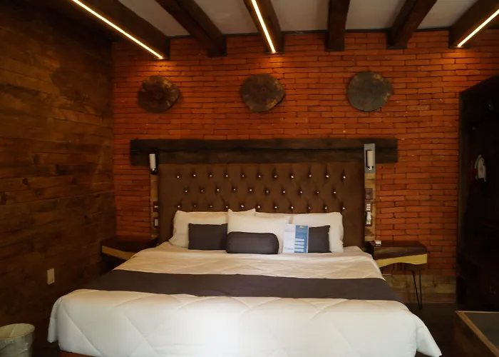 Hotel Collection O Casa Anzures Thematic,