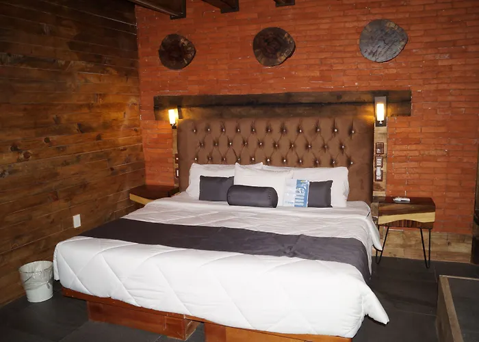 Collection O Casa Anzures Thematic, Hotel 3*