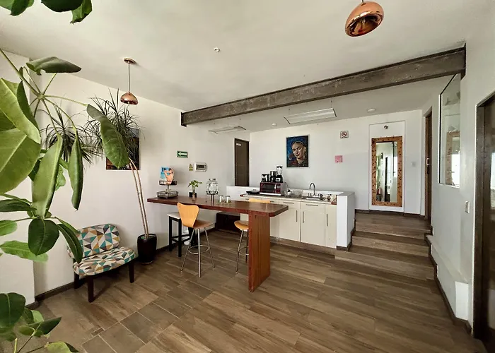 Hotel Collection O Casa Anzures Thematic,