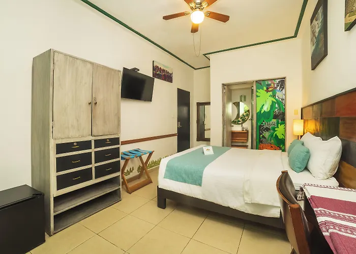 Collection O Casa Anzures Thematic, Hotel