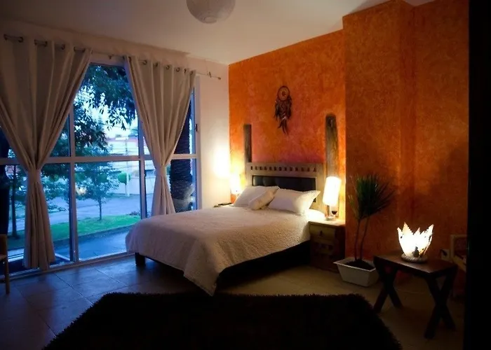 Collection O Casa Anzures Thematic, 3*